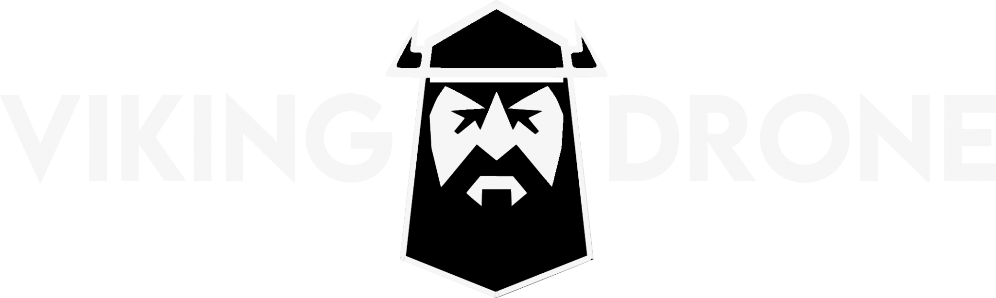 Viking Drone ApS