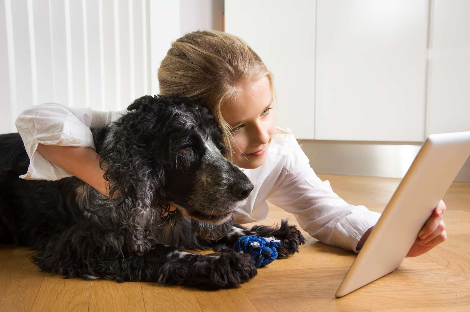 Om Energi Fyn Pige Hund I Pad 2020