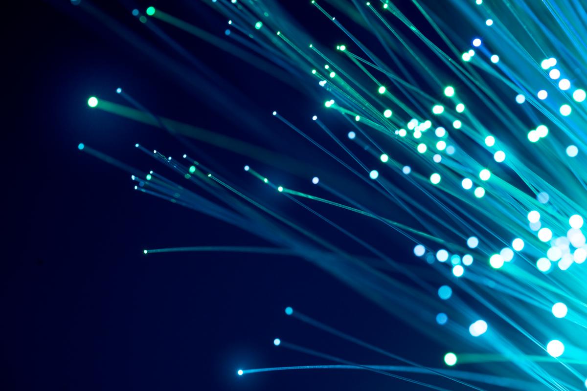 Fiber Feber