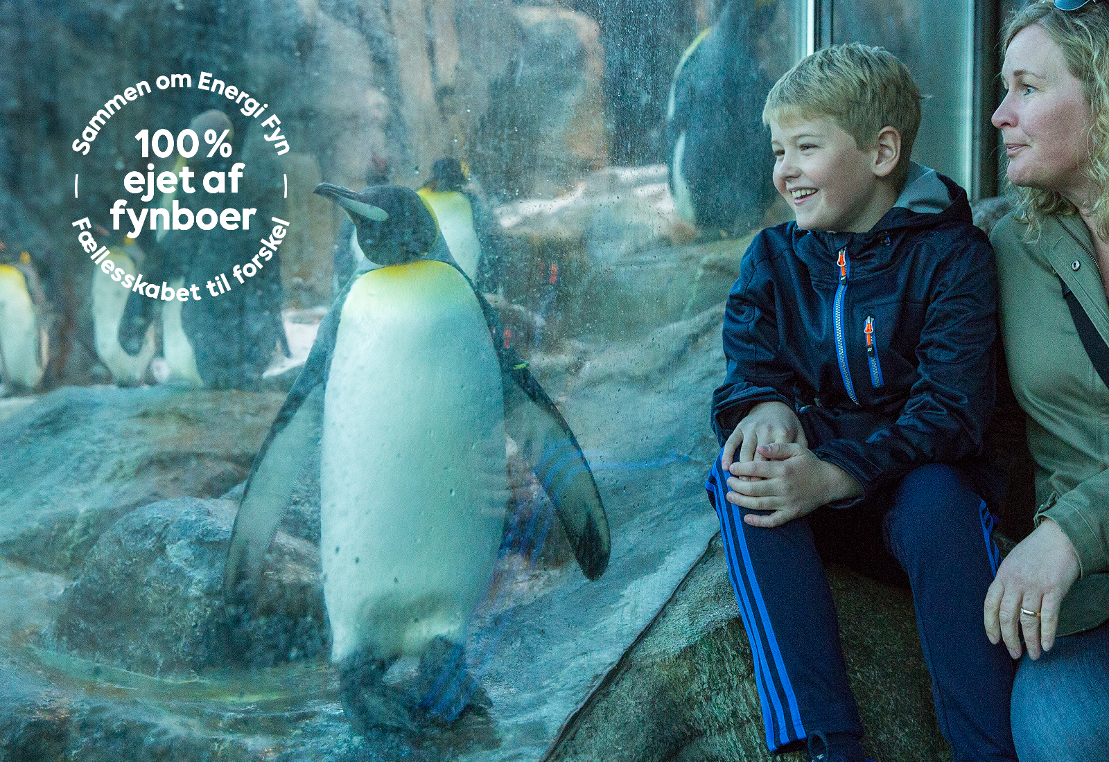 Andelshaver Odense Zoo 2 Andelsmærke 2021