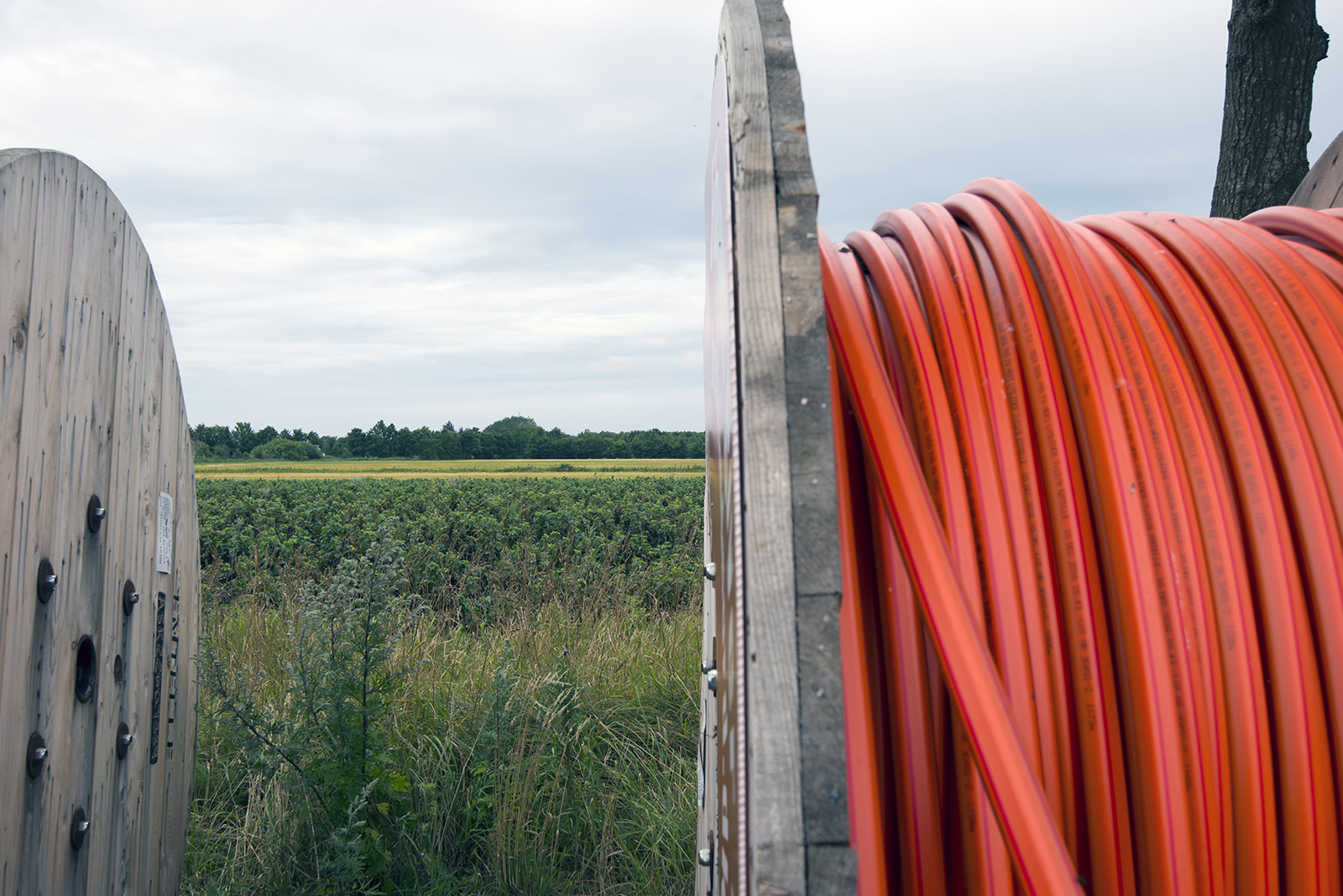 Fiber 2 Kabletrolmler Med Marker I Baggrunden 2020