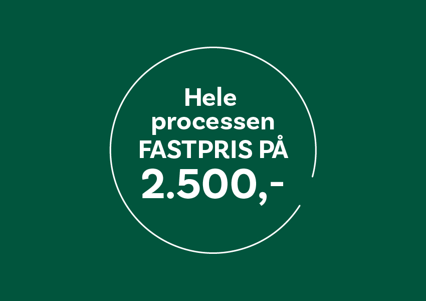Energiraadgivning Erhverv Solceller